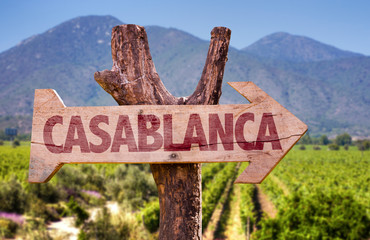 Casablanca wooden sign with winery background