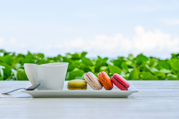 macaroon multicolored  with a cup of coffee
