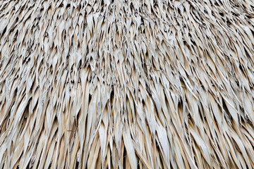 Tropical thatch old roof for background