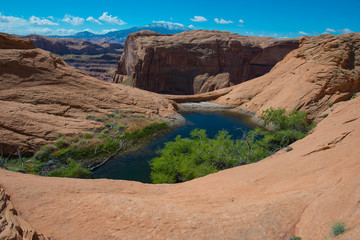 Small lake oasis in the desert Escalante National