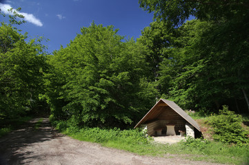Fototapeta na wymiar Hikers refuge in a beech forest besides a small road
