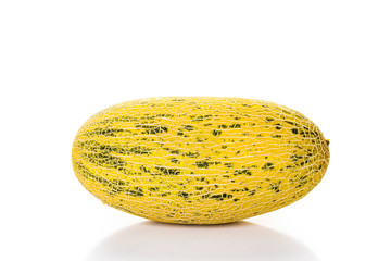 Persian melon