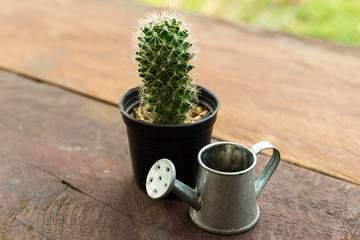 Cactus pot and Watering can model