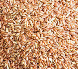 Unpolished red rice. Product of Thailand, Asia.