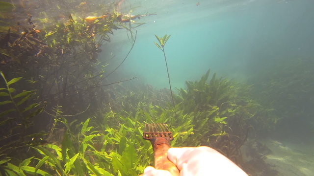 Thai moken hunting underwater 
