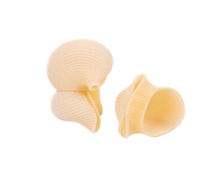 Uncooked pasta lumaconi three.