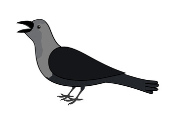 Cartoon Crow