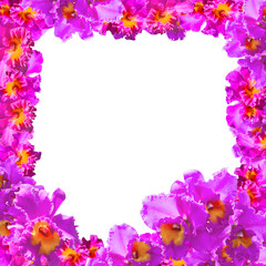 Frame of Beauty Pink Orchids