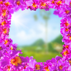 Frame of Beauty Pink Orchids