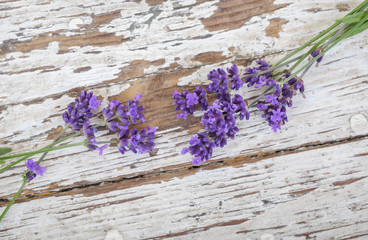 Fototapeta premium Lavender on rustic wood background