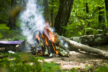 bonfire, campfire in the summer forest