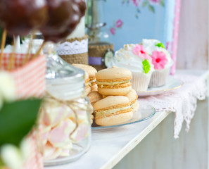 Obraz na płótnie Canvas French macaroons.Candy bar.Wedding feast. Wedding sweets 