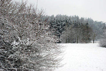 Winterlandschaft 