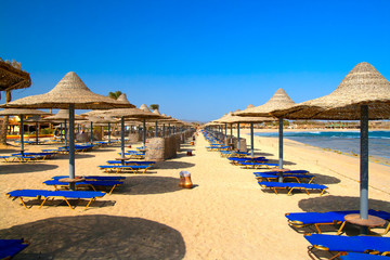 Exotic Beach
Blue sunbeds and straw umbrellas at exotic beach in Egypt.