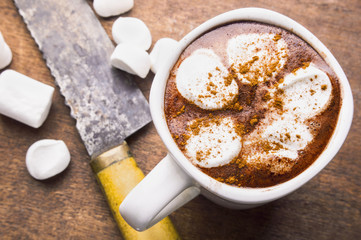 Hot chocolate with marshmallow in a white cup