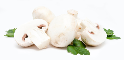 Champignon mushroom white agaricus