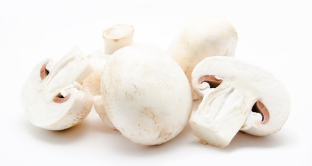 Champignon mushroom white agaricus