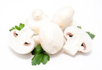 Champignon mushroom white agaricus