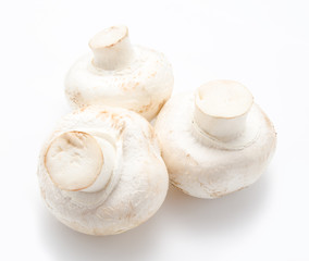 Fototapeta na wymiar Champignon mushroom white agaricus