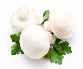 Champignon mushroom white agaricus
