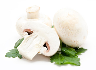 Champignon mushroom white agaricus