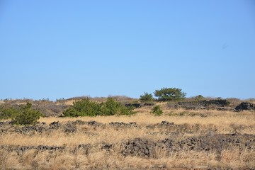 Landscape of Jeju Island in South Korea