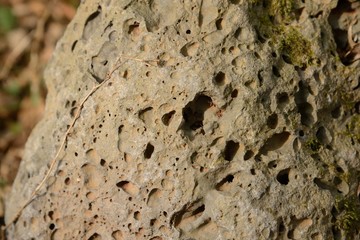 Close-up of vesicular basalt surface in Jeju