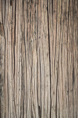 Old wood background