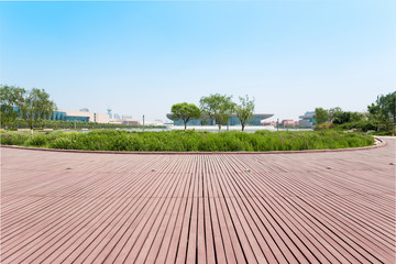 modern park and empty square