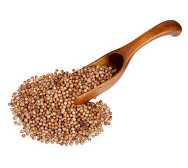 Coriander seeds in the wooden spoon, isolated on white backgroun