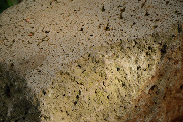 Close-up of vesicular basalt surface in Jeju