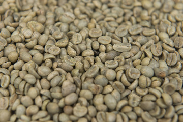 Rohkaffee Bohnen zum Rösten