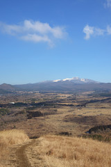 Fototapeta na wymiar Hanla Mountain, View from SaeByeol Volcanic Cone in Jeju Island