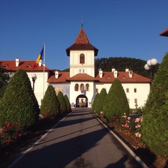 Obraz premium sambata de sus