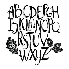 Vector alphabet with oak leaf and acorns