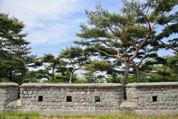 Fototapeta na wymiar Wall at South-West Spur of Sunwon Hwaseong