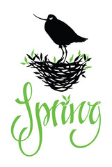 Spring lettering design card with bird