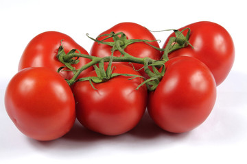 tomates grappe 27062015