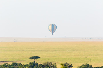 Hot air balloon over the savannah