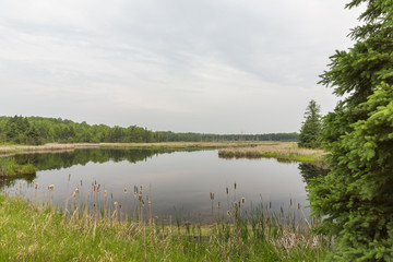 Fototapeta na wymiar Scenic Pond
