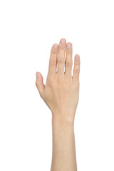 hand showing the five fingers