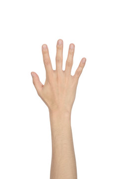 hand showing the five fingers