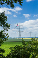 The Windmills