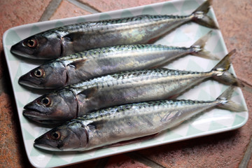 makrelen