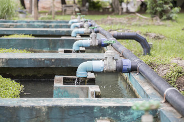 Water flows slowly from the valve