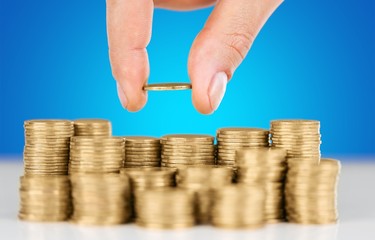 Loan, profit, rate.