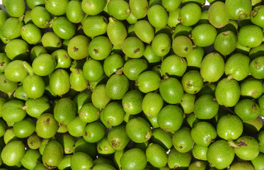 Green young walnuts