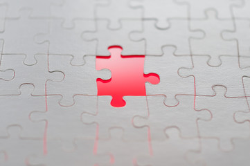 Missing Puzzle Piece