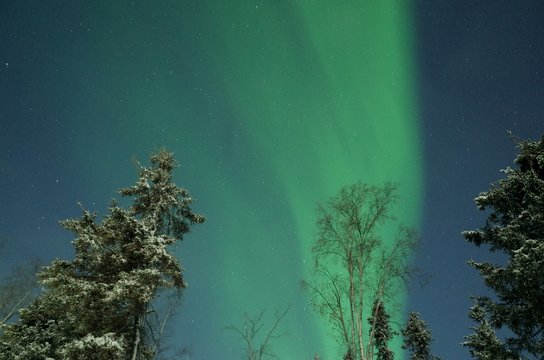 northern light in canada