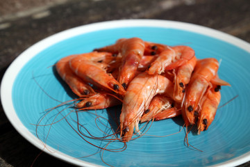 scampi
